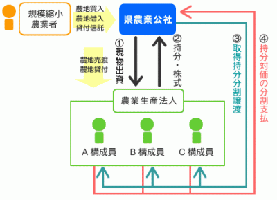 障害者雇用
