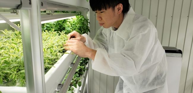 障害者雇用