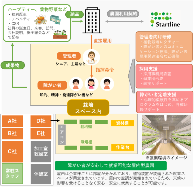 障害者雇用