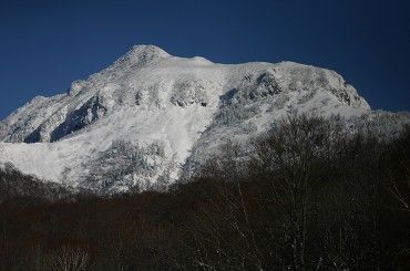 障害者雇用