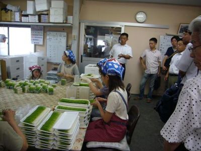 障害者雇用