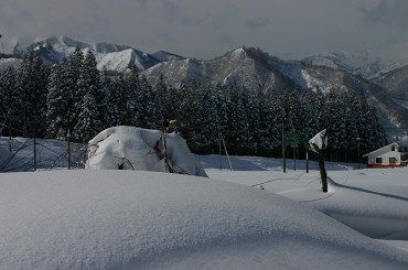 障害者雇用