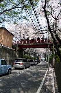 障害者雇用